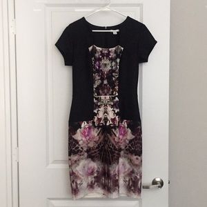 Cato Business Professional Dress